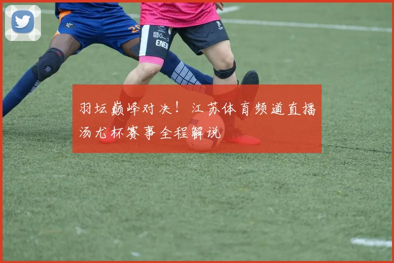 羽坛巅峰对决！江苏体育频道直播汤尤杯赛事全程解说